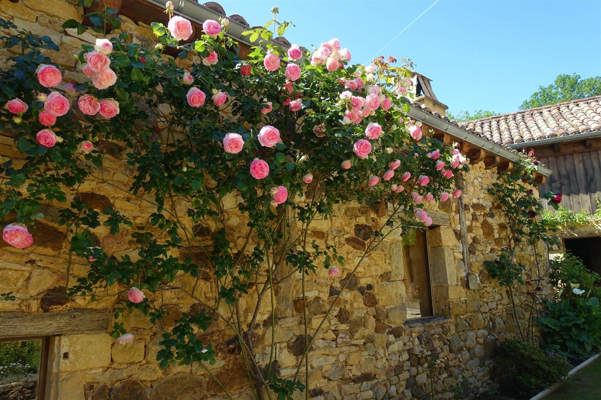 Domaine De Cournet Haut, A 17Th Century Property Set On A Calm, Idyllic Domain With Pool, Tennis, Bikes And More Les Vauries Экстерьер фото