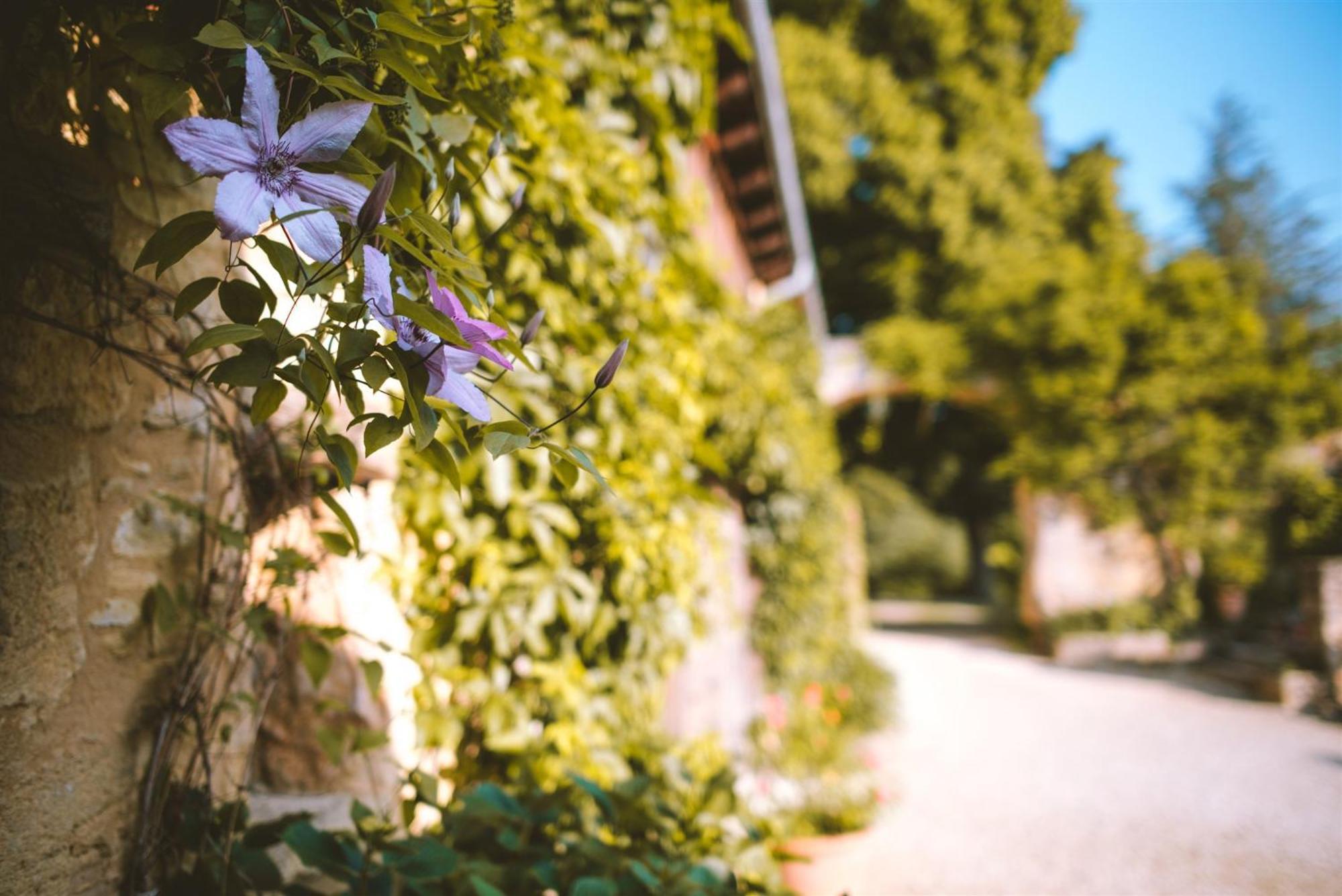 Domaine De Cournet Haut, A 17Th Century Property Set On A Calm, Idyllic Domain With Pool, Tennis, Bikes And More Les Vauries Экстерьер фото